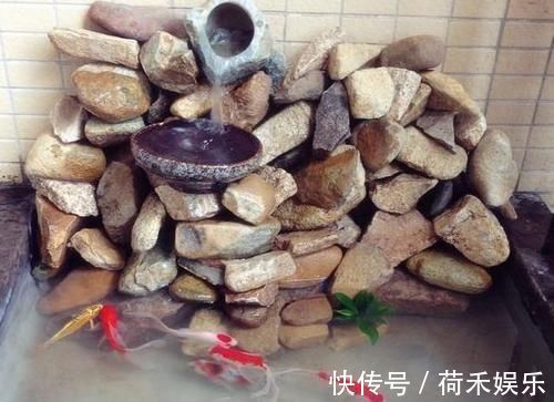 在阳台上砌个鱼池，成本只花200元，亲戚朋友们都眼红了