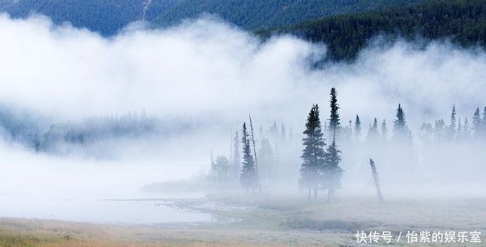 喀纳斯|智者乐山，仁者乐水，在喀纳斯，您就会赞叹山水是如此自然与静谧