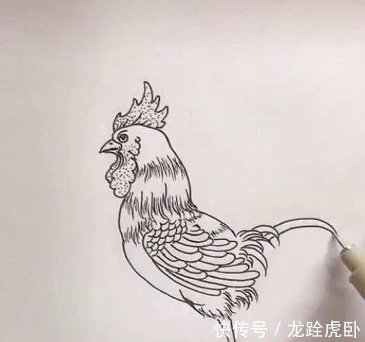 美术生画#美术生画公鸡,不起型直接画,成品很有料,网友:橡皮擦放假了