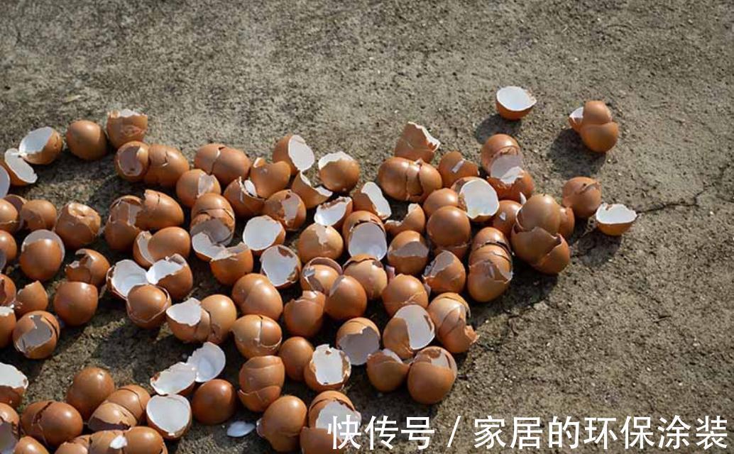 花肥不用买,在家自己做,“垃圾”桶里泡一泡,浇花大爆棚