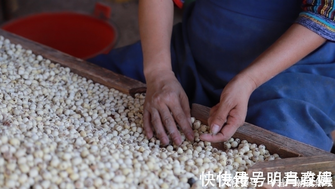 杨道林|果然，东西不贵都是有原因的，刚刚一位拼多多商家说了大实话
