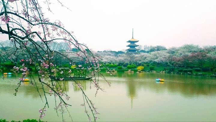 晚春四首（诗词）