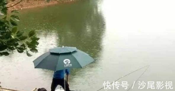 这饵专攻大板鲫,简单实用又省钱,老钓手都拍手叫好