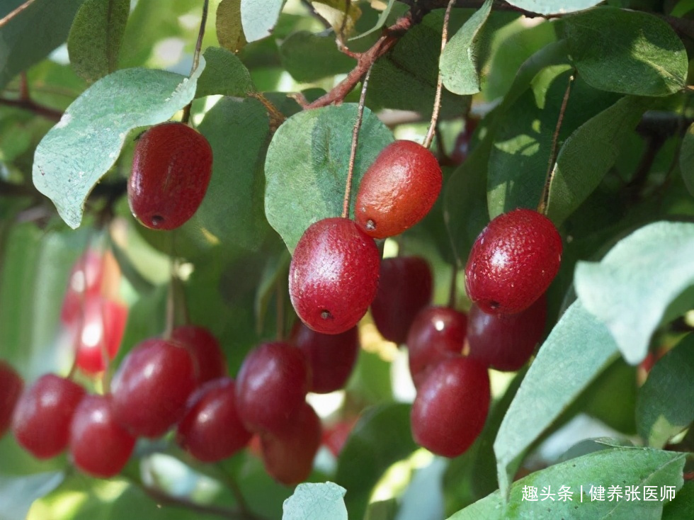 食物|女性想要身体好，推荐3种食物，排毒护肝，调理肠胃，补充营养