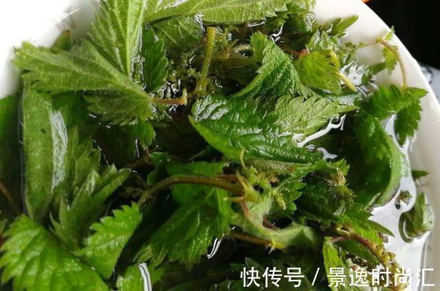 龙葵|门口的果子像“龙葵”,赶紧要拔掉、千万别吃,会中毒