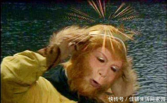 老君|花果山惨案发生了啥让猴哥大杀四方,老君拿出千枚仙丹得以平息