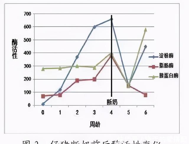 仔猪|如何让仔猪顺利渡过断奶关?