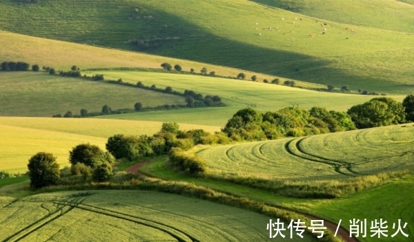 财运|未来10天，财运节节高升，事业更上一层楼，财神登门，生活无忧