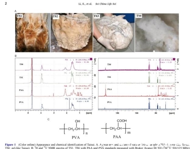 科学家们@一块卖出百万高价,太岁究竟是什么东西?科学研究揭开太岁之谜