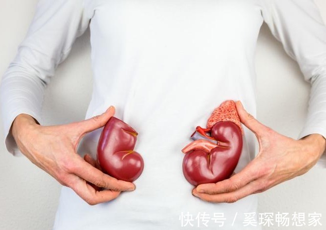 天敌|男性最不能碰的4大食物,被称为肾脏“天敌”,早知早防