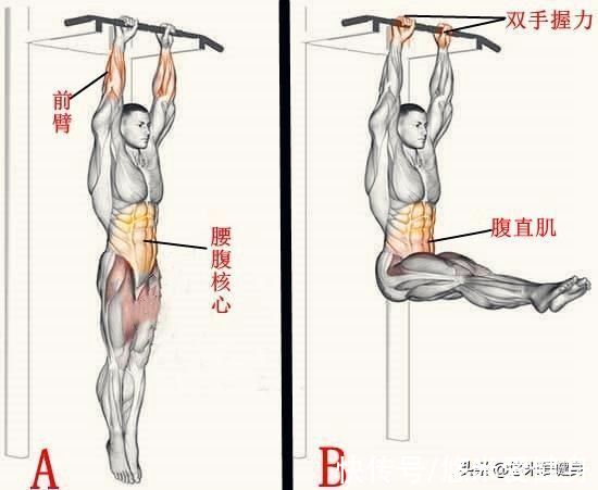 单杠|引体向上做不好怎么办？通过3个阶段的训练，完成10个动作很轻松
