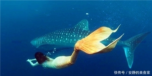 鱼膏|古籍中记载的“美人鱼”是什么?古人:遇见这种海女,你就倒霉了