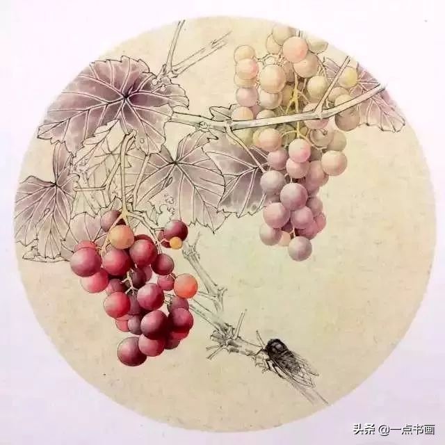 工笔#《葡萄秋蝉图》工笔绘制步骤