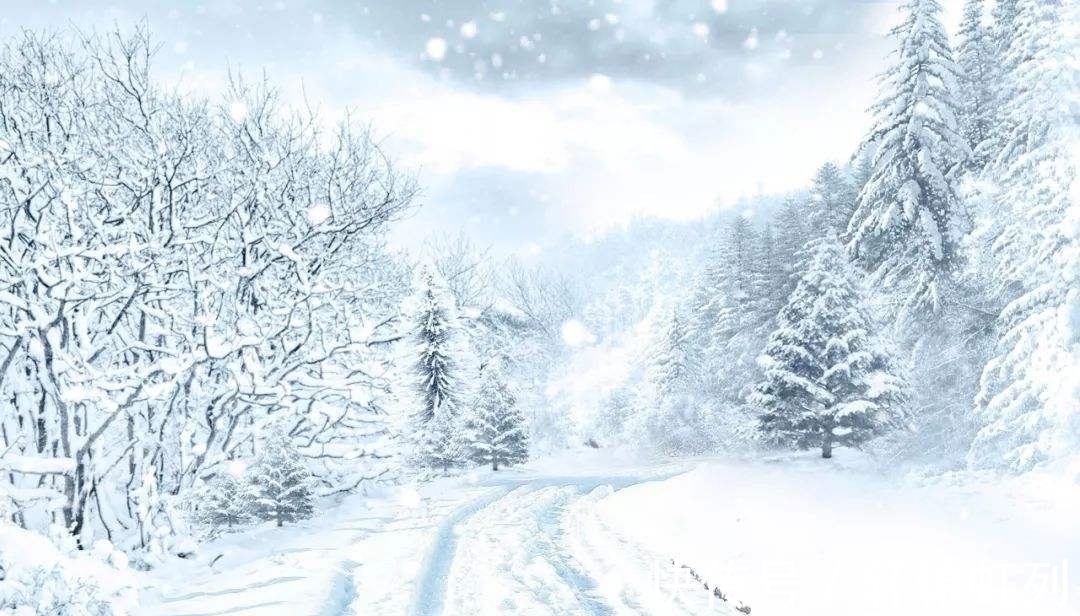 梅花#飞雪寄乡愁词两首,雪落倾城,念在心中,莫惧深冬寒,春天不遥远