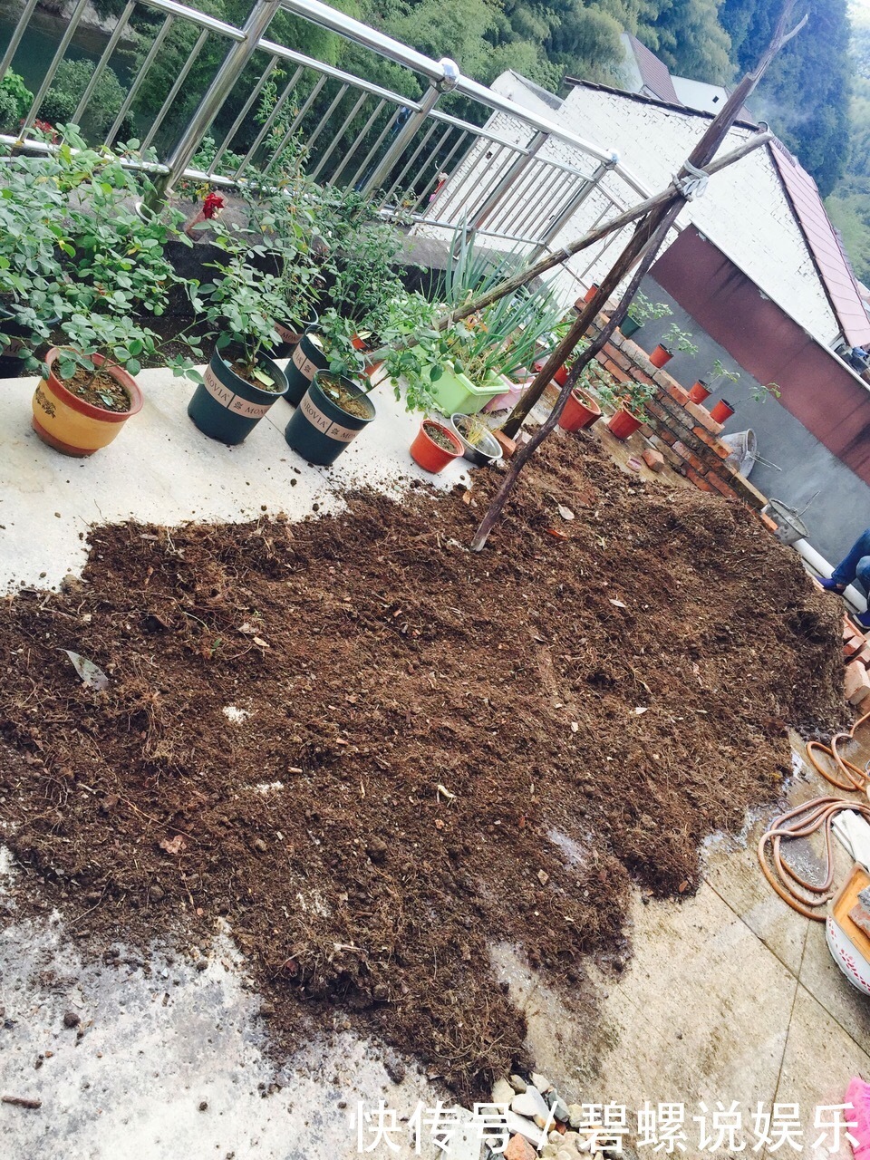 养花土“别买”，出门挖“2桶”，花卉不烂根、不黄叶，根粗叶绿