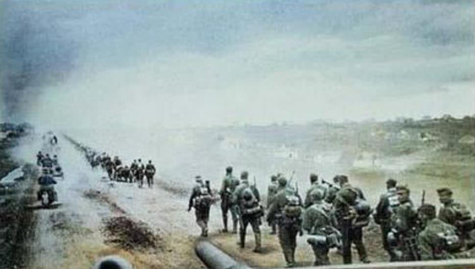 参战|364万人参战,飞机1.77万架,40个师被打到编制消失!