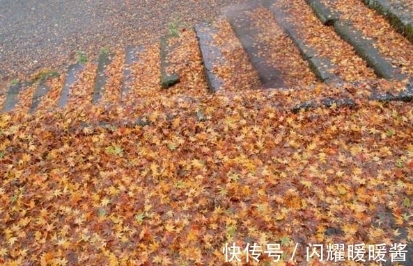 唐朝!寻找秋天最美的诗词,以“秋”为题的诗词排行榜前10名