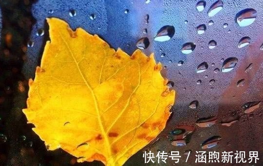 情理性|情商高智商高的三大生肖，女人都想嫁！第一名不仅戏多还是人精