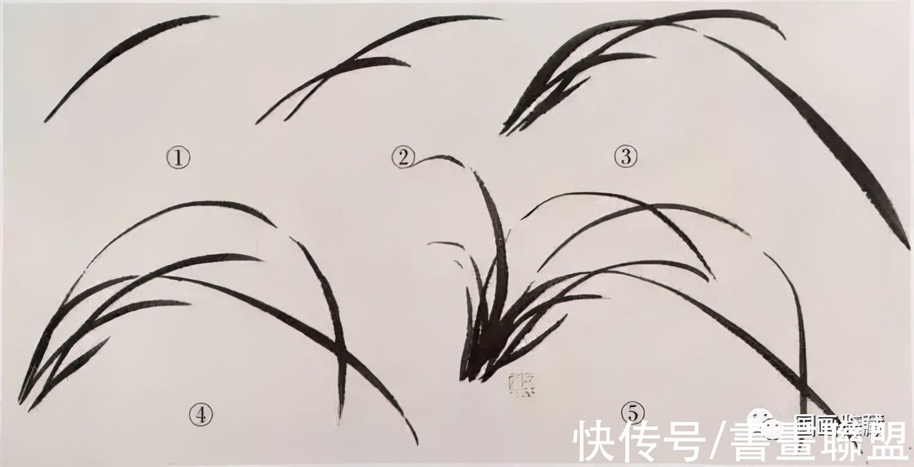 兰叶@国画兰花绘画技法，怎样画兰，兰与竹的组合画法教程