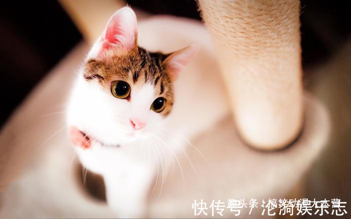 |搞笑幽默我老婆出差回来,喊道你怎么把别的女人带回家里来