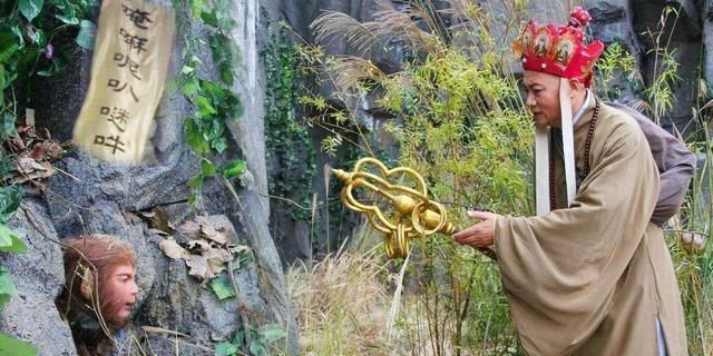 孙悟空取经路上为什么动不动就搬救兵?这才是成熟的打工人