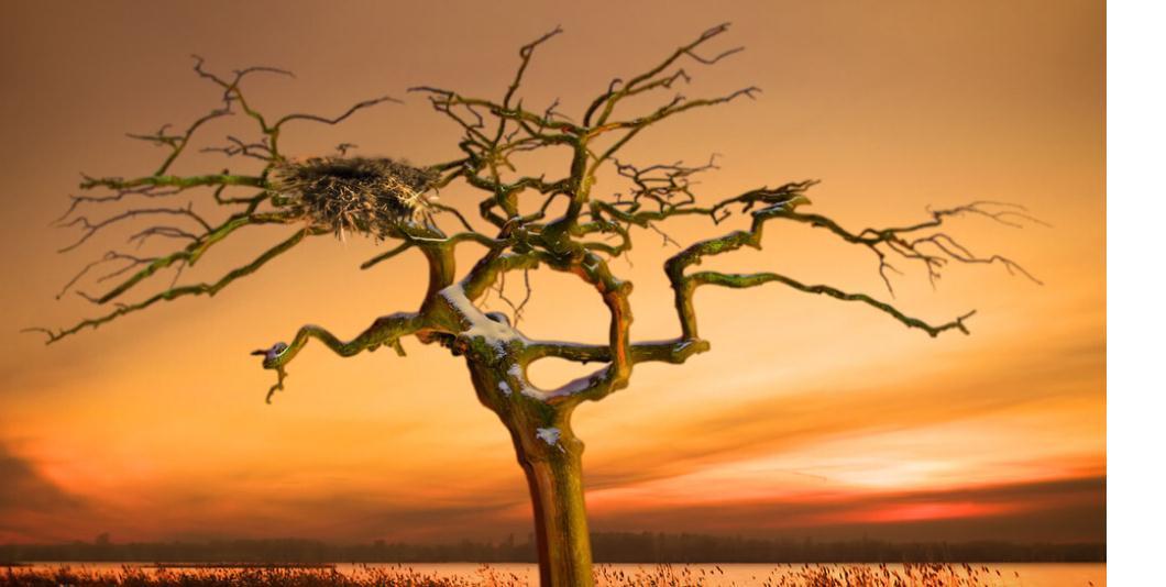 三生&轻吟梨花吟,对月吟诗,吟咏不尽三生的悲欢