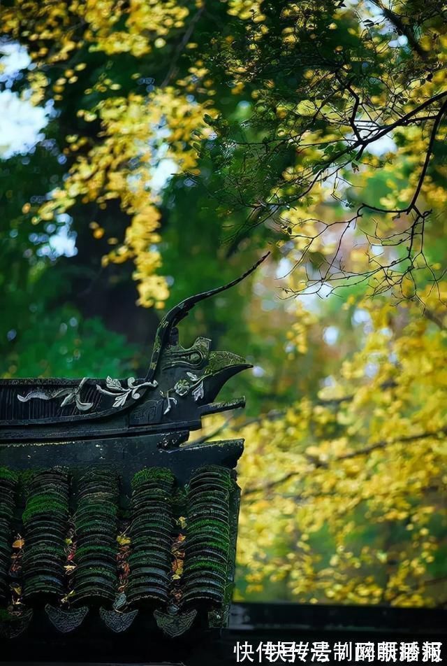 释文珦#诗僧笔下的秋天,不仅有最美的秋色,还有浓浓禅意,令人回味无穷