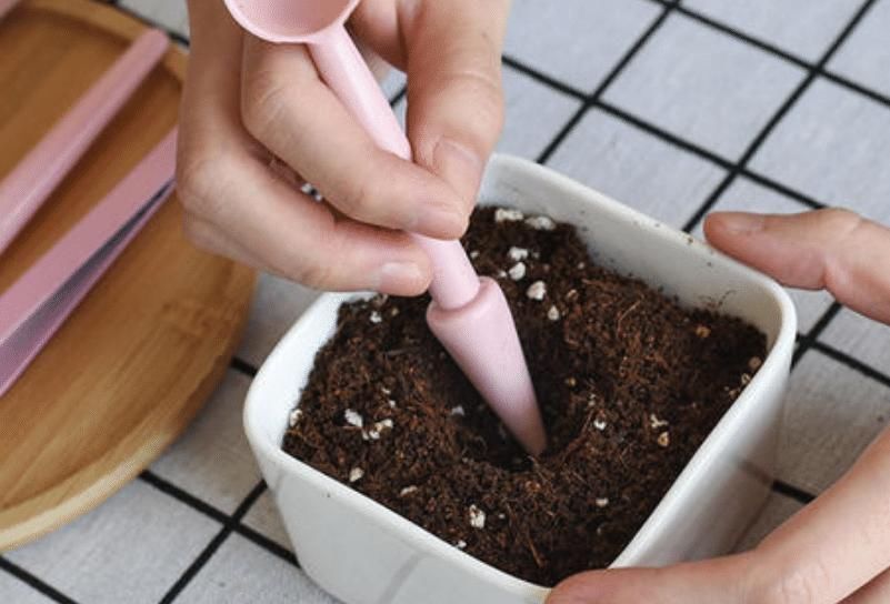  作用|白醋的各种妙用有很多，生活中的许多方面，均可以带来帮助