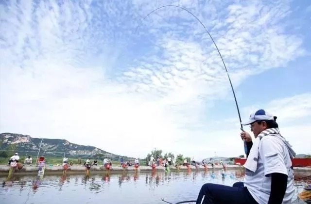 野钓不用买饵料,这6种特效饵随处可得,几乎零成本,下钩就上鱼