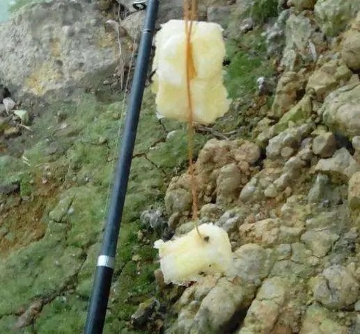 简简单单1根香蕉,渔获65斤,鲫鱼为主