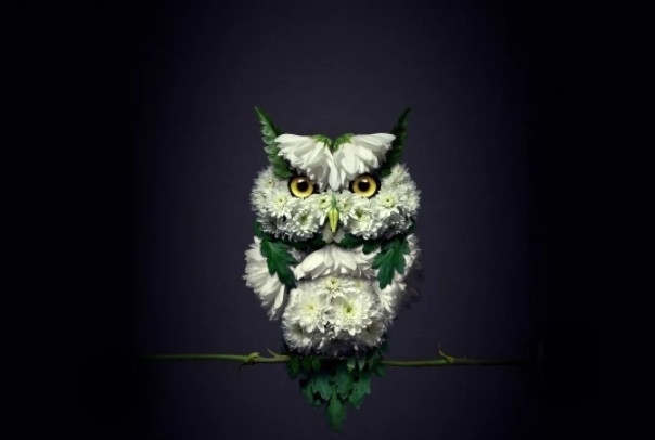 花卉&他拿花瓣、树叶随便一剪一贴就卖23万!网友:买过的人都说“值”