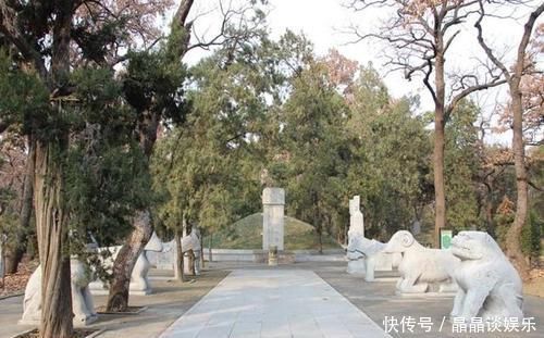 墓地|我国最大的家族墓地,坟冢超10万座,千年来乌鸦不栖蛇类远避