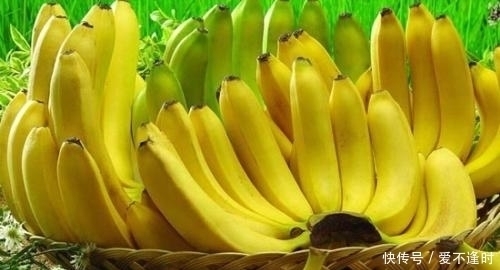 香蕉|香蕉的最佳食用时间,很多人不清楚,还是了解清楚为妙