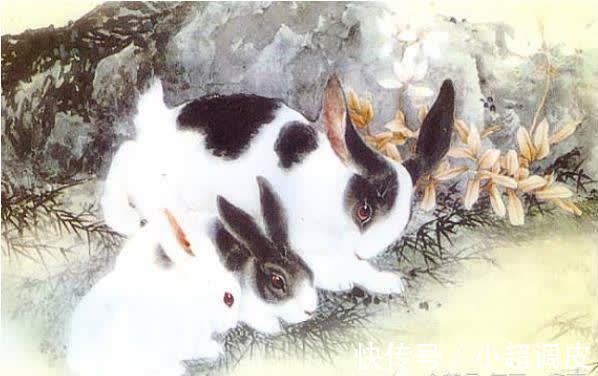 属兔|生肖兔：尤其是1975年属兔人一生最旺谁？看看其中有你吗！