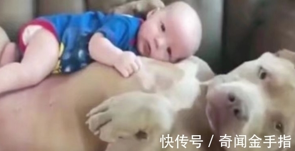 客厅|早上醒来未见孩子,夫妻急的不行,走到客厅楞了