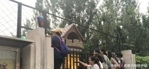 幼儿园老师|幼儿园老师“反感”这3类家长,会让孩子被偏心对待,你上榜了吗