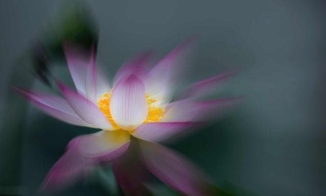 为人处世|《菜根谭》精华10句,教你为人处世,领悟人生高境界