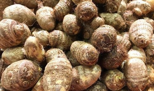 教你5个小妙招，挑选优质软糯芋头，爱吃芋头的朋友一定要学学！