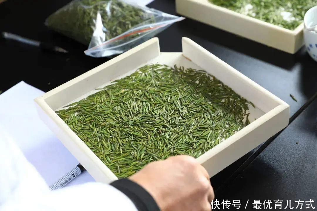 春茶季喝什么？这9款正当季的绿茶值得一喝