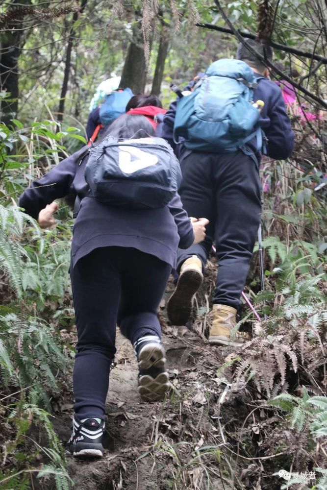 更喜南山千倾野，卅公里后尽开颜