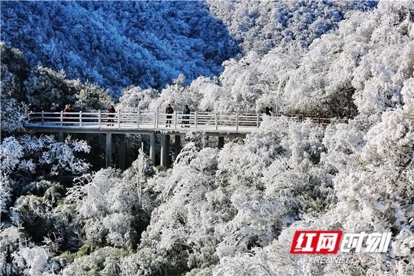 影像丨云游莽山 赏冰雪奇观