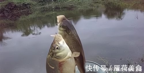 食盐|钓鱼，用2勺食盐，偷偷放在饵料里，大鱼狂咬不止