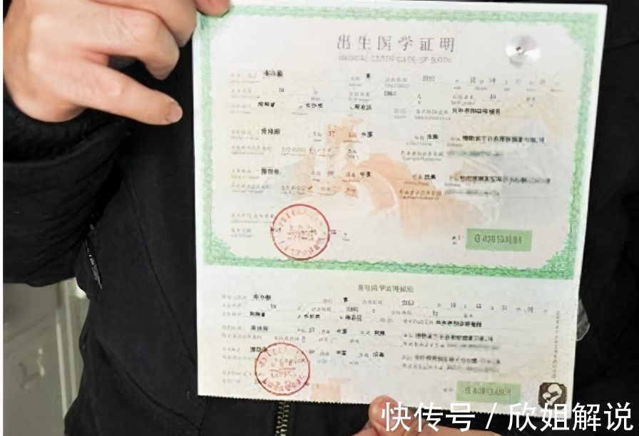 证件|新生儿出生后,这5种证件要尽早办理,错过时间很麻烦