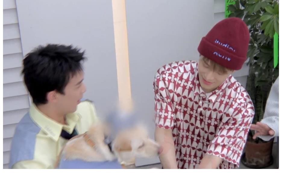 長歌行|吳磊帶愛寵上《拜冰7》，狗險露私處，王嘉爾的這個小動作太暖了