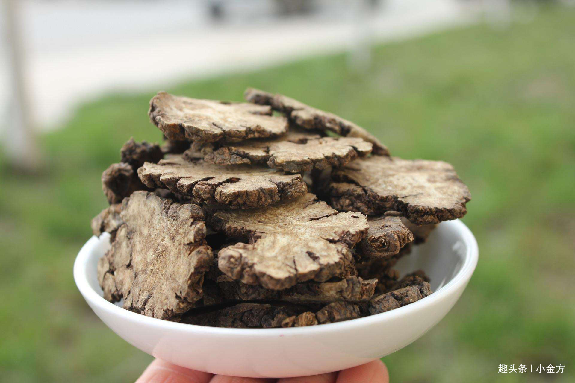 高血压|千年“妇科第一方”，竟是治疗“高血压”的奇效方剂之一