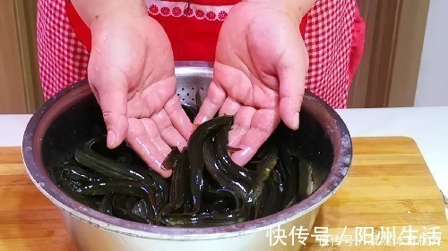 内脏|吃泥鳅到底要不要去内脏很多人不懂,看完终于明白了