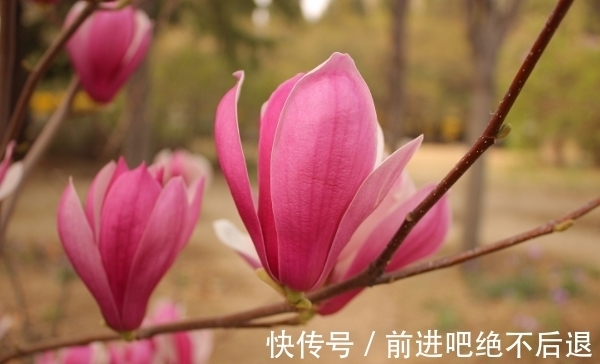 好事|8月27日之后,最好运,好事特别多,工作顺顺利利,有财运的生肖