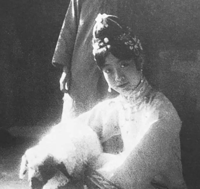 从亭亭玉立到枯瘦如柴,她都经历了什么?