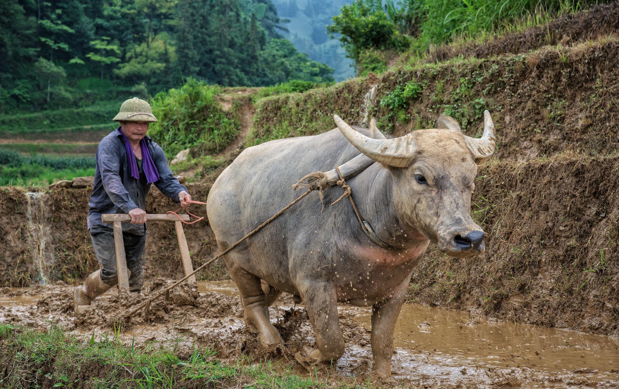 水轮车|对不起，我挑不出广西这座小城的毛病，旅游体验更胜桂林一筹