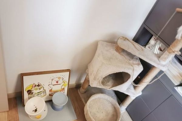 客餐厅|一入她家才知道，什么叫美观与实用并存，优雅与浪漫兼具，超有品味